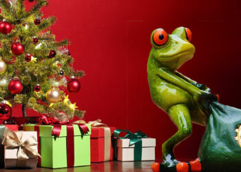 Weihnachtsgeld Rückholaktion